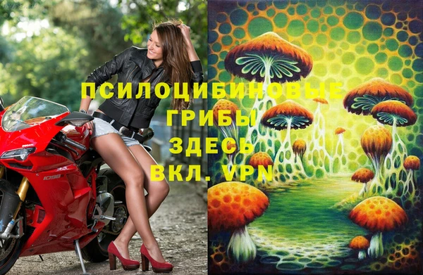 мяу мяу мука Армянск